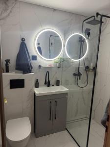 a bathroom with a shower and a toilet and a sink at Inza in Druskininkai