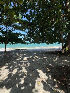 a beach with trees and the ocean in the background at Casa Medrado in Porto Seguro +7 photos