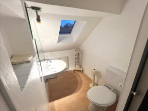 a bathroom with a white toilet and a sink at Apartment 180 qm BIBERBURG, in der romantischen Rödermühle an der Fränkischen Saale in Deutschlands Mitte, 8 km zur A7 in Hammelburg