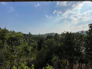 a view of a forest with mountains in the background at Alloos homestay villa in Attappādi