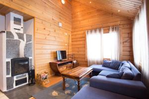 a living room with a blue couch and a fireplace at Kelkkakoivu in Jämsä