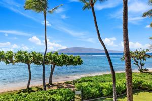 a beach with palm trees and the ocean at Puunoa Beach Estates 205 in Lahaina