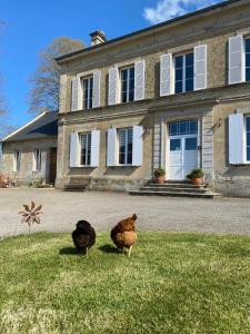 two chickens standing in the grass in front of a house at La Fresnée chambres d'hôtes in Mosles