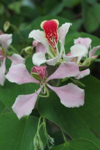 Fotografie z fotogalerie ubytování Hotel Vista al Tortuguero v destinaci Cariari