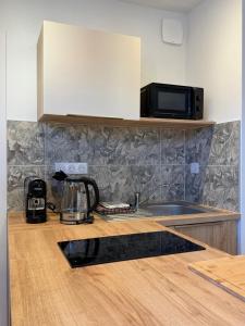 a kitchen counter with a sink and a microwave at Les Suites Villeneuve - 2 in Le Puy-en-Velay