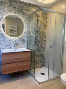 a bathroom with a shower with a sink and a mirror at Les Suites Villeneuve - 2 in Le Puy-en-Velay