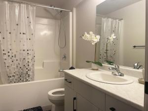 a bathroom with a sink and a toilet and a shower at Mary's Luxury Suite in Winnipeg