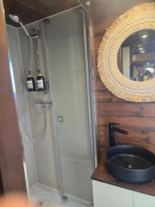 a bathroom with a shower with a sink and a mirror at La Perle des Sentiers in Rhisnes