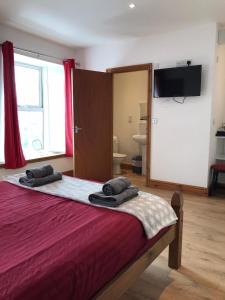 a bedroom with a bed with two pillows on it at Y Llew Coch Tregaron in Tregaron