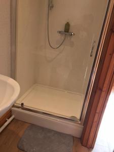 a shower with a glass door in a bathroom at Y Llew Coch Tregaron in Tregaron +9 photos
