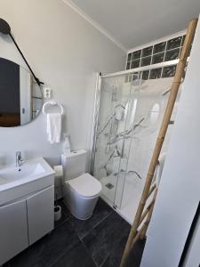 a bathroom with a shower and a toilet and a sink at Hostel Jardins de São Luís in Setúbal