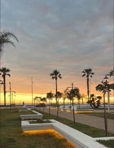 a park with palm trees and a sunset in the background at sognandocasab&b tortora in Praia a Mare