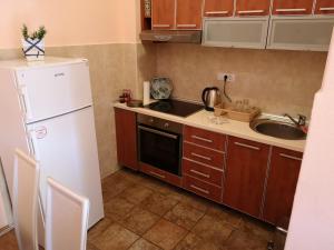 a kitchen with a white refrigerator and a sink at Risinium sun in Risan
