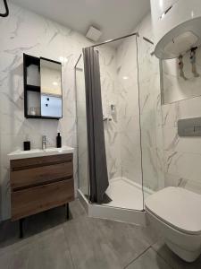 a bathroom with a shower and a toilet and a sink at River House in Lazeshchyna +63 photos