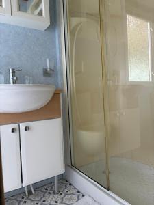 a bathroom with a shower and a sink at The Mosselle No 60 in Ardentinny +5 photos