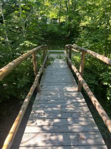 a wooden bridge in the middle of a forest at Forest Residens in Krasnik +6 photos