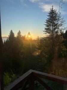 a sunset with the sun shining through the trees at Forest Residens in Krasnik