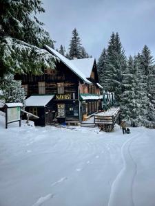 a log cabin in the snow with a dog in front at Chata Návrší in Stříbrnice