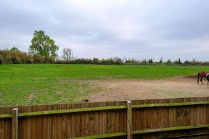 a horse standing in a field behind a fence at 1 Bed in Raunds oc-s33685 in Raunds +2 photos