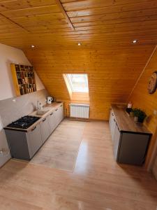an attic kitchen with a stove and a sink at Agroturystyka - POD DWOREM in Jureczkowa