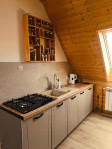 a kitchen with a stove and a sink at Agroturystyka - POD DWOREM in Jureczkowa +13 photos