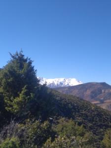 a snow covered mountain on a hill with trees at Sidi hssain in Amizmiz