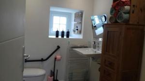 a bathroom with a toilet and a sink and a window at Charming house in an old rectory PMR in Tréguier +24 photos