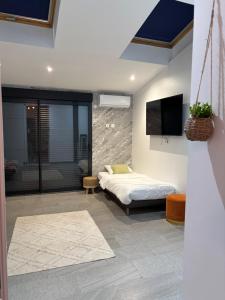 a bedroom with a bed and a flat screen tv at Lumineux Appart à Disneyland in Montry