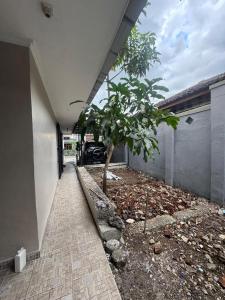 a tree in a courtyard next to a building at laksana homestay in Cireungit