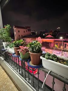 a row of potted plants sitting on a shelf at Phốstay 180 Cầu Đất in Hai Phong +8 photos
