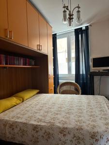 a bedroom with a large bed and a window at L’Albero Colorato in Candelo