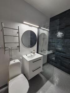 a bathroom with a toilet and a sink and a shower at Azure Nordic Retreat in Rauma