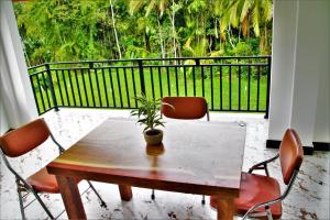 a table with chairs and a potted plant on a balcony at Dream Arch ella in Demodera