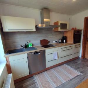 a kitchen with a sink and a dishwasher at Ferienhaus Feldbrise in Gottesgabe +32 photos