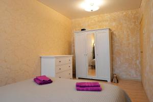 a bedroom with a bed and a dresser and a mirror at Central Apartments Karolina in Druskininkai