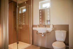 a bathroom with a toilet and a sink and a shower at Oak Lodge in Knighton +32 photos