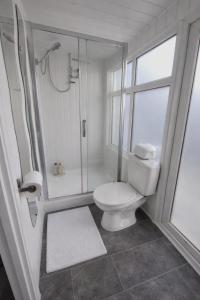 a white bathroom with a toilet and a shower at Arena Apartment Meadowhall in Brightside