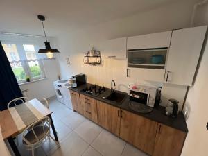a kitchen with a sink and a dishwasher at SKY Apartment 1 in Oświęcim