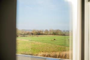 a view from a window of a field with horses at Hotel Biedeboom in 's-Heer-Hendrikskinderen