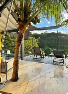 a palm tree on a patio with two chairs at Blue dream Bungalow in Le Gosier