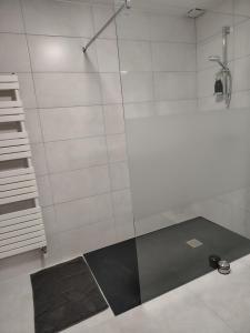 a shower with a glass door in a bathroom at Entre pierre & vigne in Arrentières +9 photos