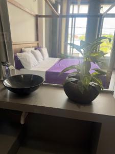a table with two bowls and a plant on it at Naadee villa in Ekala
