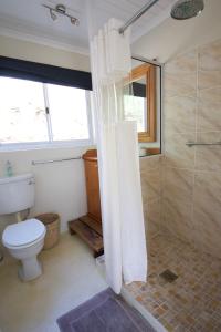a bathroom with a toilet and a shower at Featherwood Cottage in Malgas +2 photos