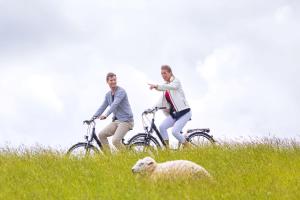 two men riding bikes in a field with a sheep at Schöne Tiet - Küste33 26 in Tossens