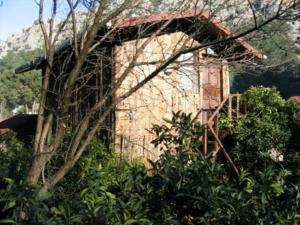 an old building in the midst of trees and bushes at Bayrams Tree Houses in Olympos