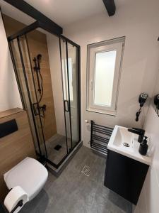 a bathroom with a shower and a toilet and a sink at Pokoje gościnne Kozica in Zakopane +47 photos