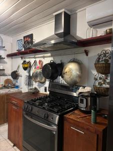 a kitchen with a stove and some pots and pans at Hilltop Candy in San Isidro de El General