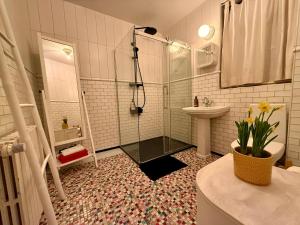 a bathroom with a shower and a sink at Solkot Cottage Homestay in Reykjavík +62 photos
