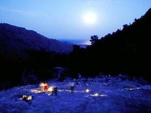 a group of people standing in a field at night at Bayrams Tree Houses in Olympos