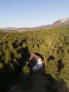 an aerial view of a house in the middle of a forest at Calm Stay Blidinje in Blidinje